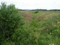 View towards north from the small road between Ingm�r and Bj�rsbyholm