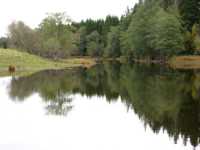 The canal downstreams from Bjurb�cken locks.