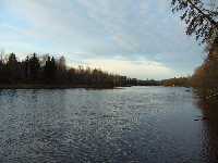 �sterdal�lven i Djur�s uppstr�ms mot Gagnef. Fotot taget ifr�n Djur�s �ngb�tsbrygga. 
