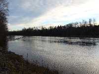 �sterdal�lven i Djur�s nedstr�ms mot �lvm�tet med V�sterdal�lven. Fotot taget ifr�n Djur�s �ngb�tsbrygga.