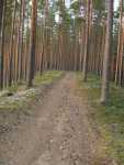 En del av den �ndmor�n som bildar det ed j�rnv�gen g�tt p�