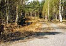 Titta p� backen och p� v�nster i diket ser du en ljus sten bredvid en liten gran. H�r b�rjar stigen till kanalen.