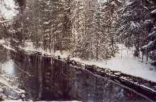 Vanhojen puiden reunustama kanava Oriveden suuntaan. Vedenkorkeus marraskuussa 2006.