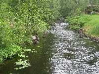 Rutapohja kanal