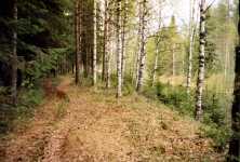Stigen f�ljer kanallinjen en hel del och avviker senare till skogen och tar dig till den nuvarande Kaltimokanalen.