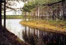 Kanallinjen motstr�ms och ett exempel p� naturens makt  stenverket b�rjar f�rsvinna under mossen.