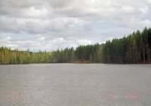 Kanalmynningen ligger i mitten av bilden mellan tr�d.