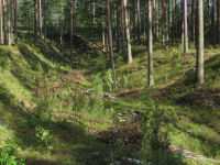 Pontuksen kaivanto n�kyy yh� maastossa.
