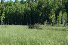 Salmela flottningskanal