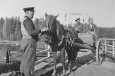 P� bron av S�yn�tsalmi kanal �r 1930. Brovakten Jussi Korhonen, hans  dotter Siiri och Hannes Vehvil�inen.
