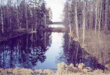 Kanallinjen bakom landsv�gen 77.