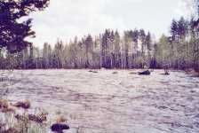 Vihovuonteen koski.