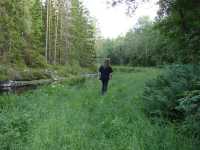 Nedanf�r bron mot s�der