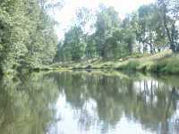 D�mmet som sp�rrar genomfart �r metarnas favorittillh�ll
