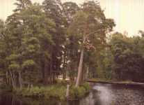 Spetsn�skanalen