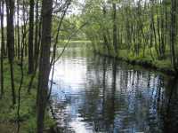 Kanalen sedd s�derut fr�n Smeddammen