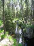 Kanalen sedd s�derut fr�n Smeddammen