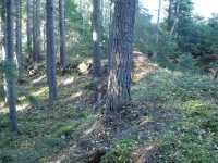 Bild 09
