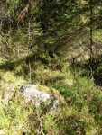 Bild 24