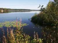 Utloppet i s�dra H�rken