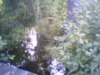 L�ngs kanalen