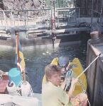 Ovanf�r Skotfoss