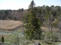 Vy norrut fr�n bron �ver S�dersundet.