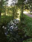 Kanalen strax f�re mynningen