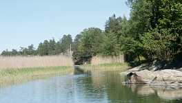 Idylliska vassr�nnor