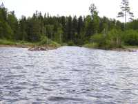 Inloppet i D�msj�n