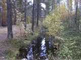 Krondiket